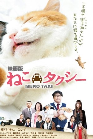 Cat Taxi