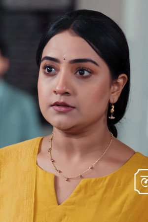 Harish’s Plot Deepens Veer and Radhika’s Rift