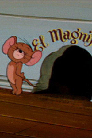 Mucho Mouse