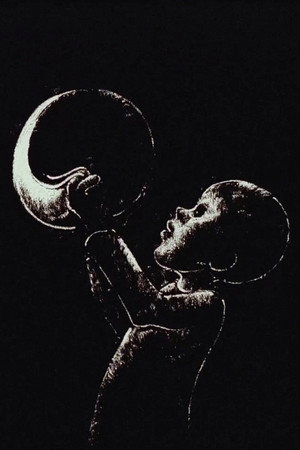 Le petit garçon qui vola la lune
