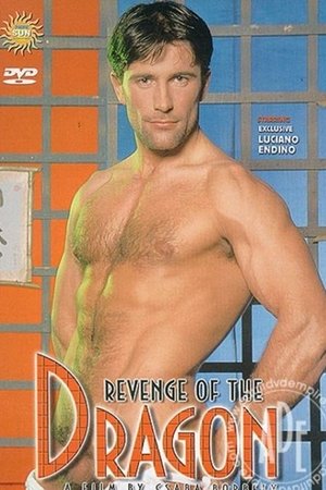 Revenge Of The Dragon