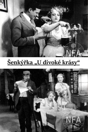 Šenkýřka „U divoké krásy“