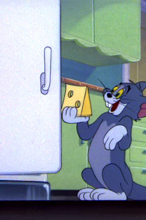 Nit-Witty Kitty
