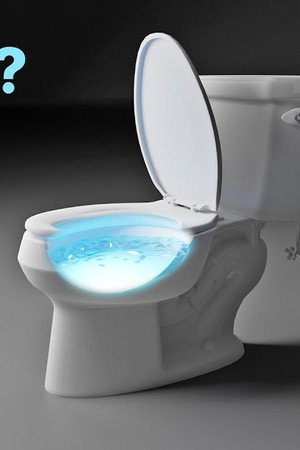 The Strange Design of American Toilets