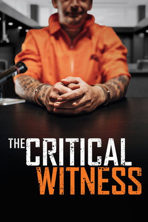 The Critical Witness