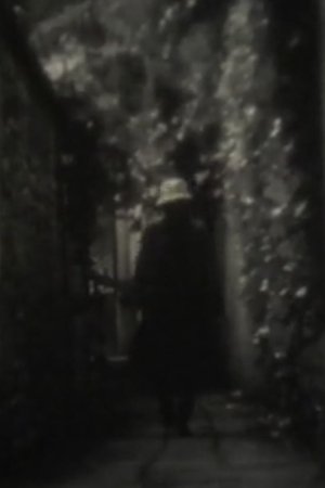 The Night of Copernicus