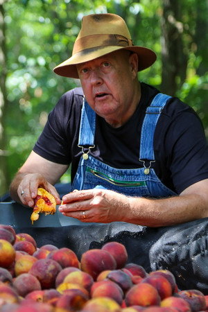 Kentucky Kingpin