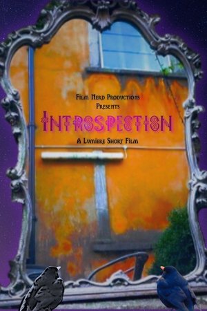 Introspection