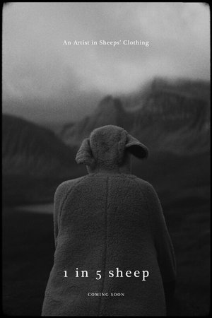 1 In 5 Sheep