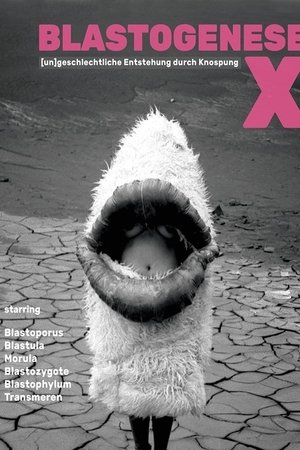 Blastogenesis X