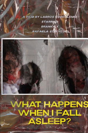 What Happens When I Fall Asleep?