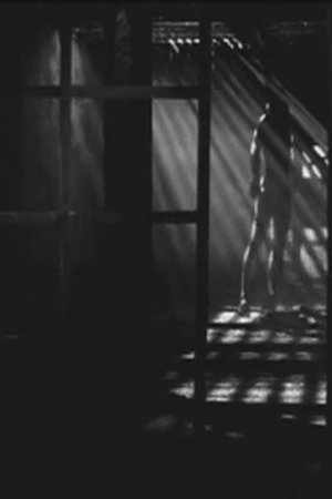 Zoetrope