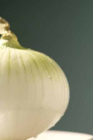 Onion