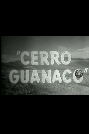 Cerro Guanaco