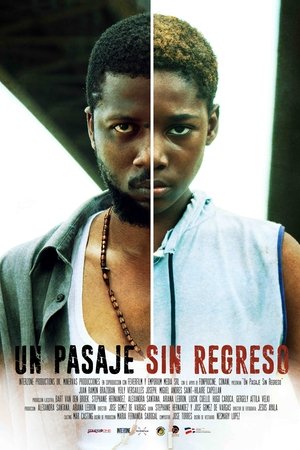 Un pasaje sin regreso