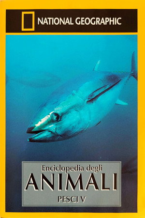 Pursuit of the Giant Bluefin