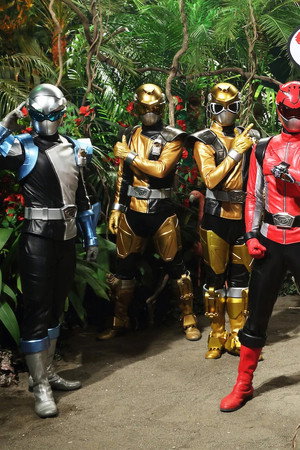 Buster Gear Series CM 4