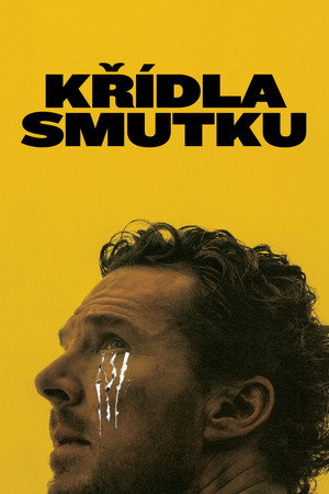 Křídla smutku
