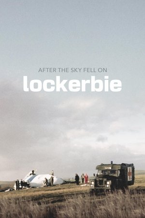 Imagen de After the Sky Fell on Lockerbie