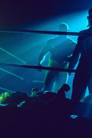 Ultimate Fantasy: The Fall of Renegade