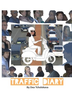 Traffic Diary