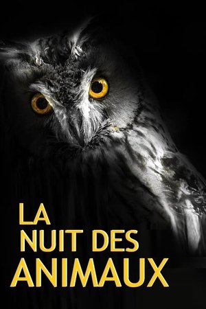 La Nuit des Animaux