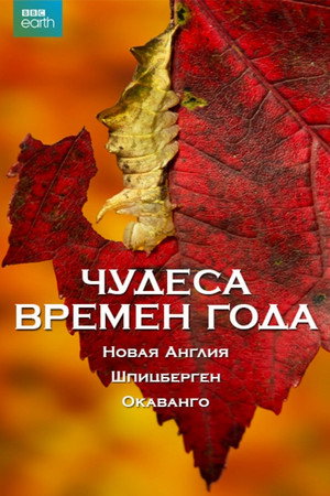 Чудеса времён года