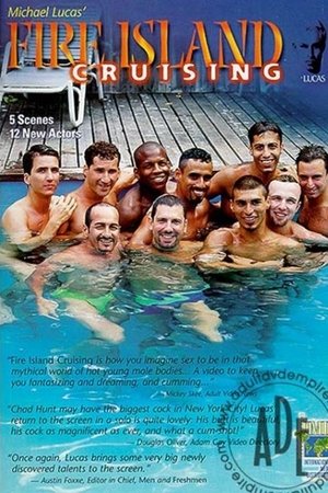Fire Island Cruising 1