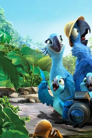 Rio 2