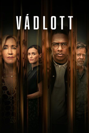 Vádlott
