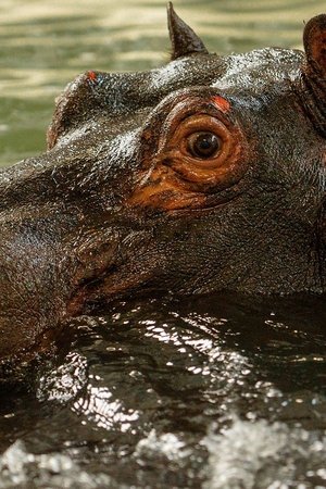 2. epizoda