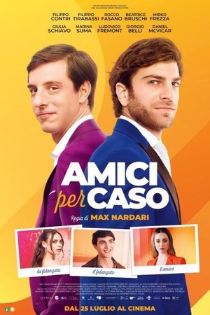 Amici per caso