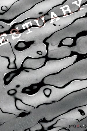 Estuary
