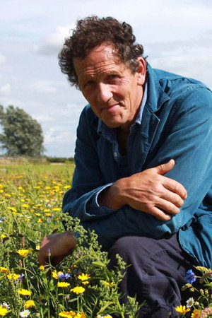 Wild Flowers and Front Gardens