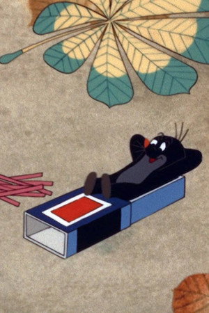 The Mole and the Matchbox