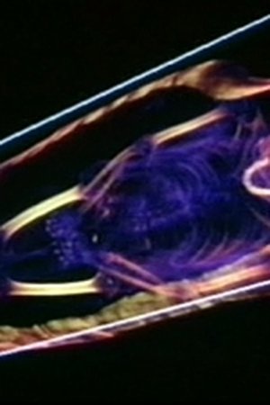 5. epizoda