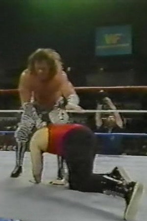December 3, 1988 - Superstars of Wrestling 118