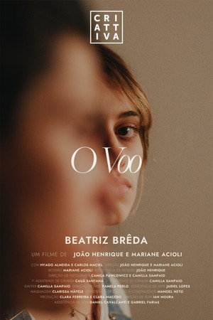 O Voo