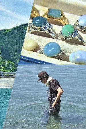 Nature's Treasure Hunt on a Niigata Beach