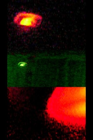 Corto 3