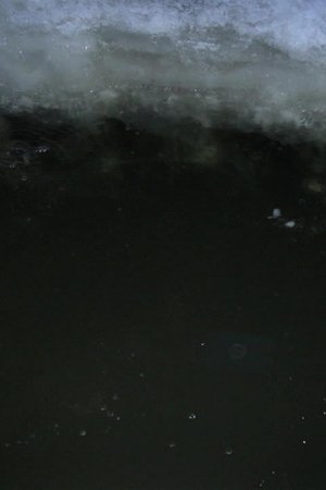epizoda