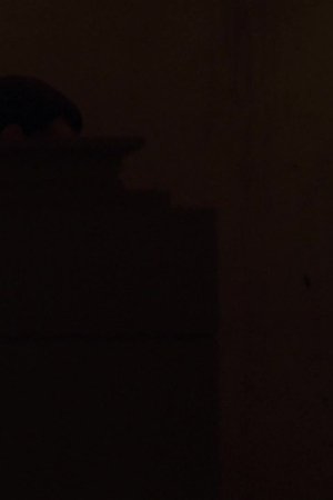 19:00 - 20:00