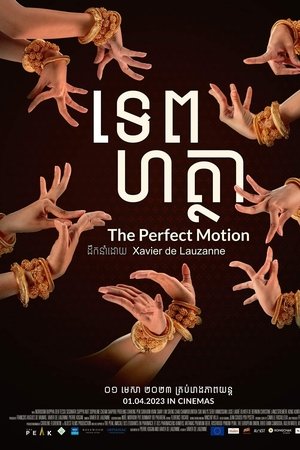 The Perfect Motion
