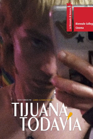 Tijuana, Todavía
