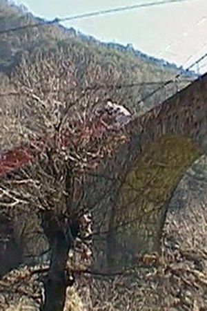 Švýcarsko - Ticino: Od subtropů k ledovcům