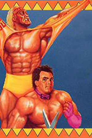 SummerSlam 1989