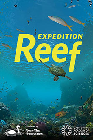 Expedition Reef