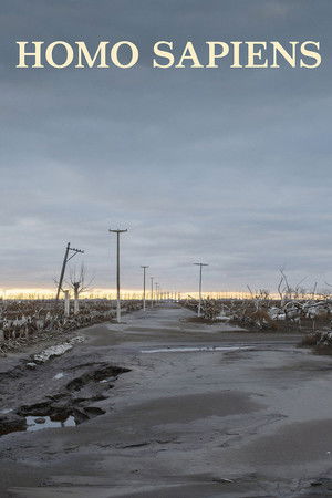 Homo Sapiens Homo Sapiens