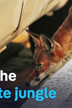 Wildlife in the city