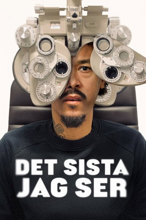 Det sista jag ser